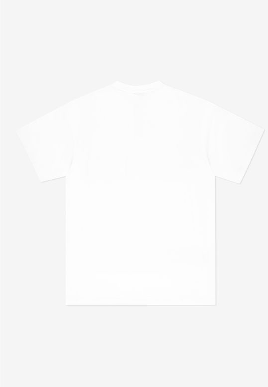 zkl251mtee1151_ts_lvlhard_white_2