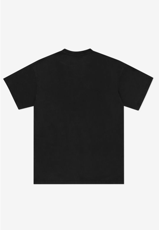 zkl251mtee1221_ts_urbgym_washedblack_2